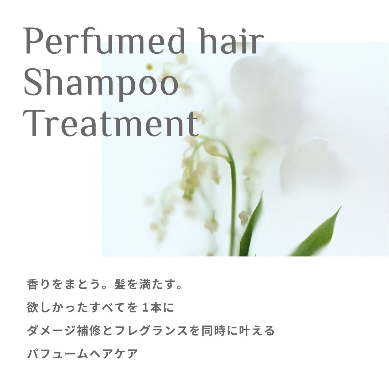 Perfumed Hair Shampoo / Perfumed Hair Treatment