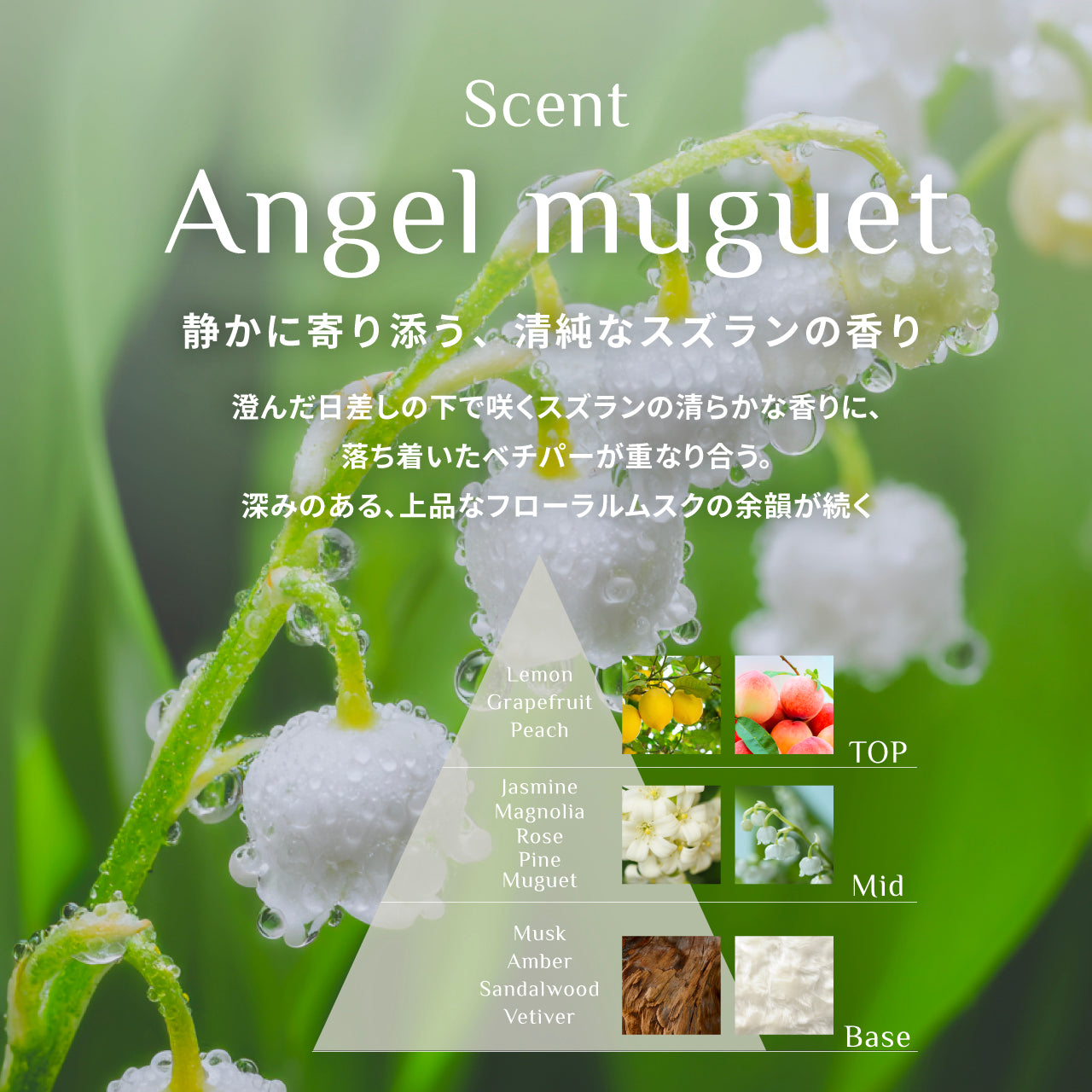 Perfumed Hair Shampoo / Perfumed Hair Treatment
