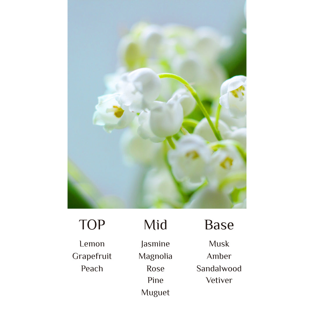 Hair Perfume (AngelMuguet)