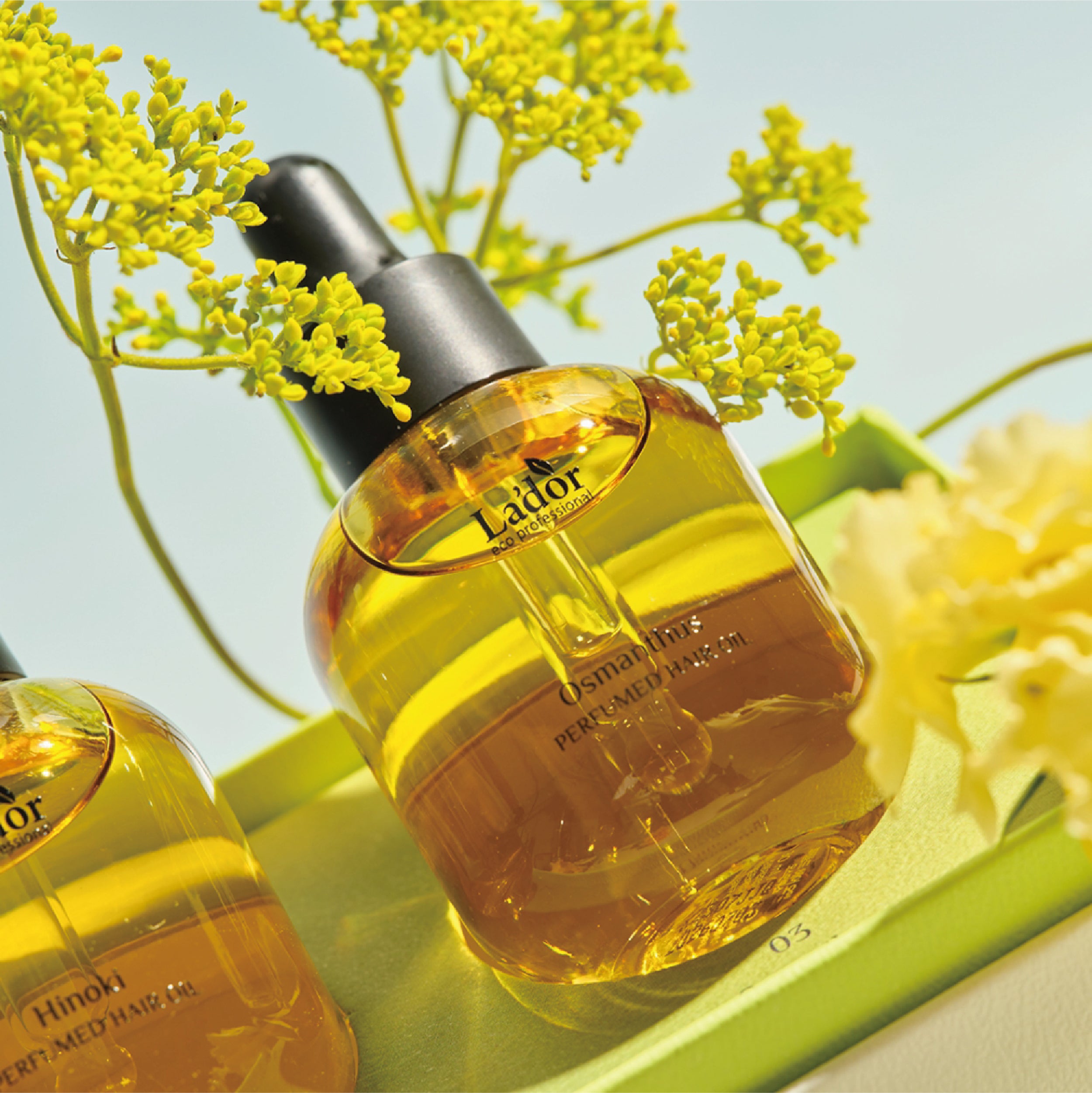 ２個セット　ヘアパフュームオイル　LADOR 01 La pitta Perfumed Hairoil – LADOR